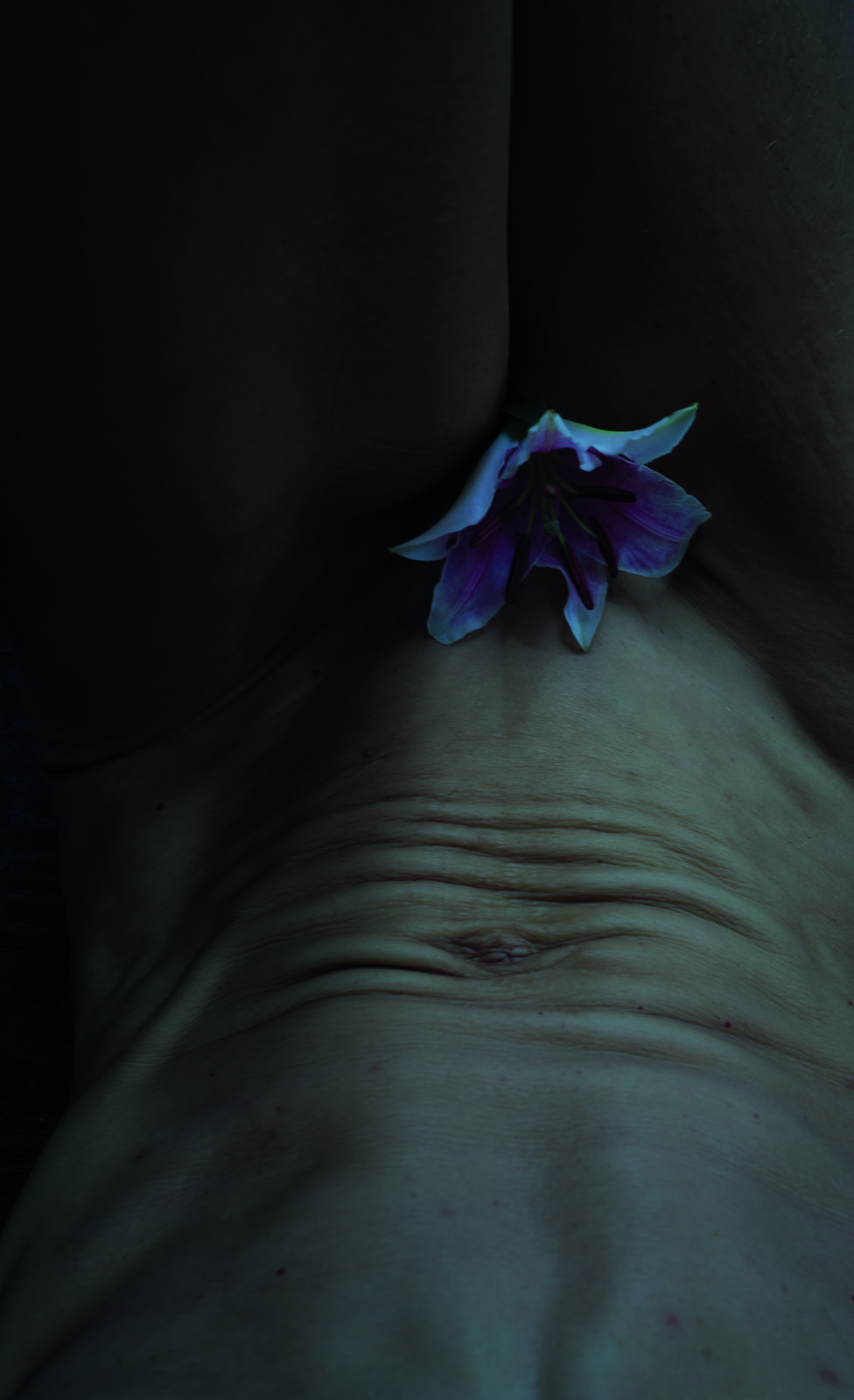 Detail s liliovým květem, redakční focení Heroine